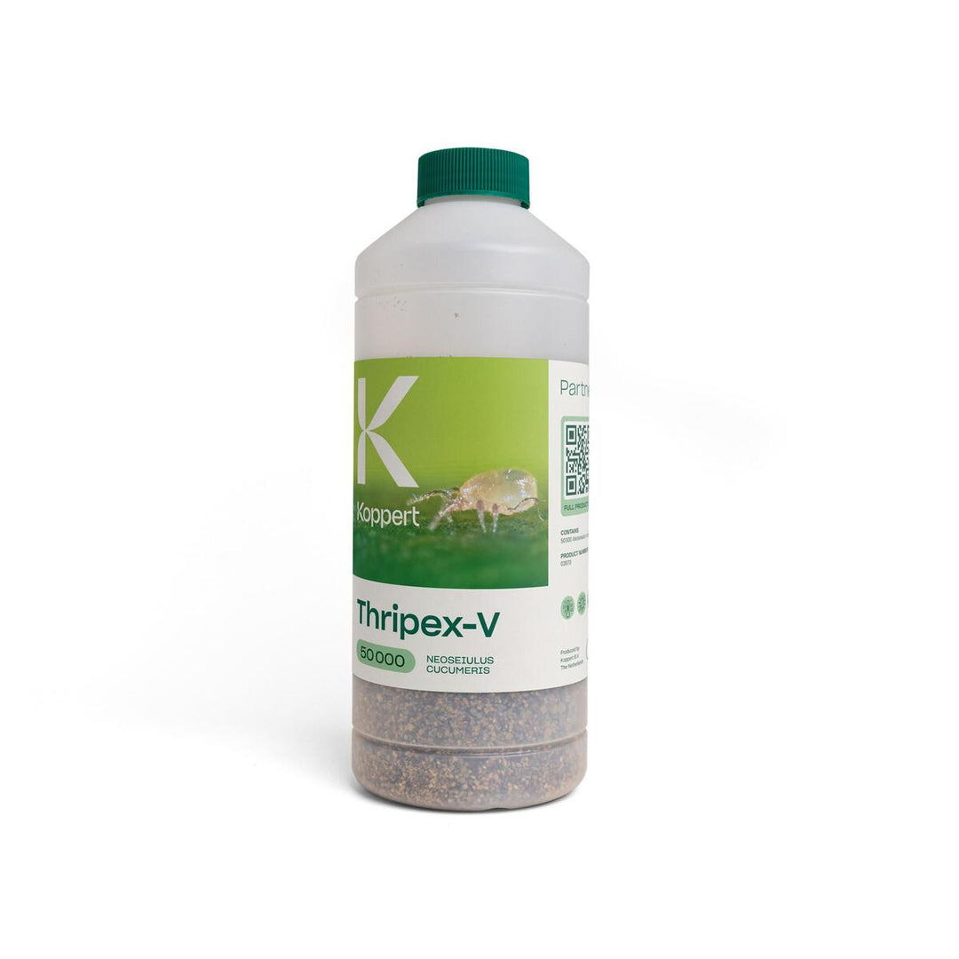 Koppert - Thripex-V Neoseiulus cucumeris 50,000 on vermiculite