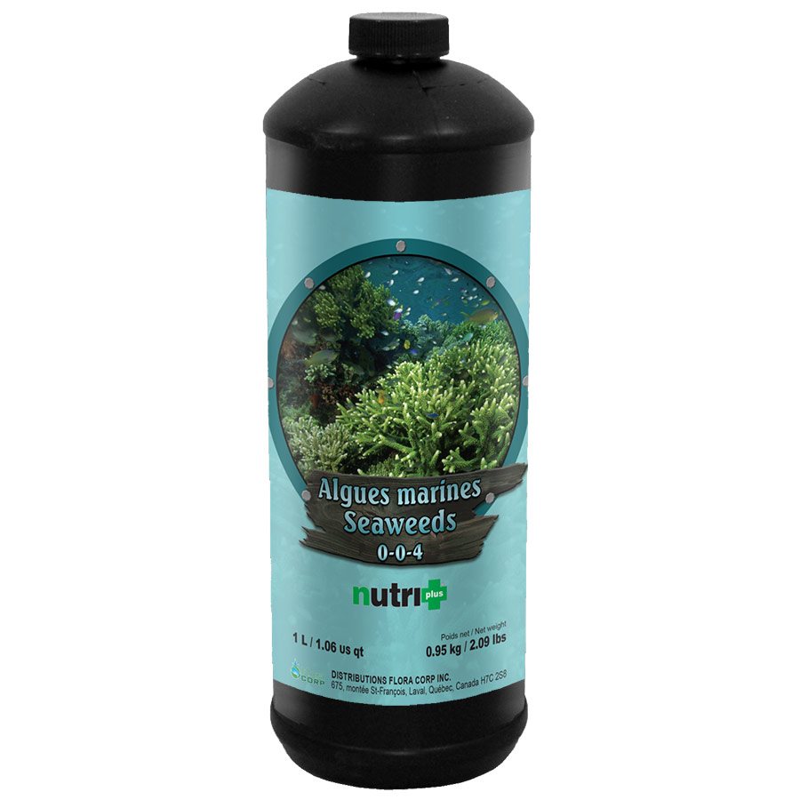 Nutri+ Seeweed