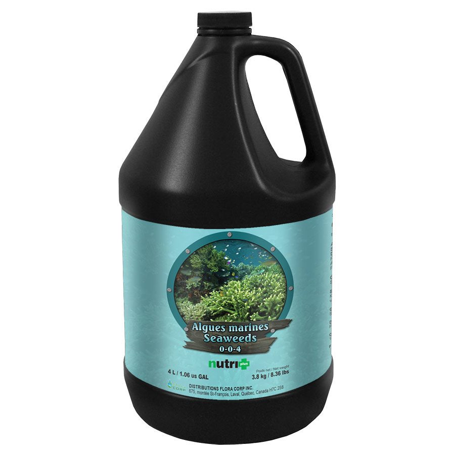 Nutri+ Seeweed