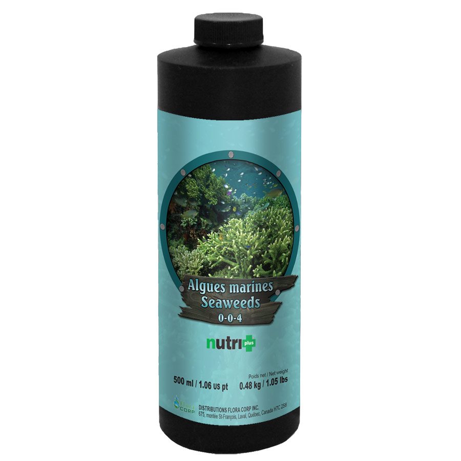 Nutri+ Seeweed