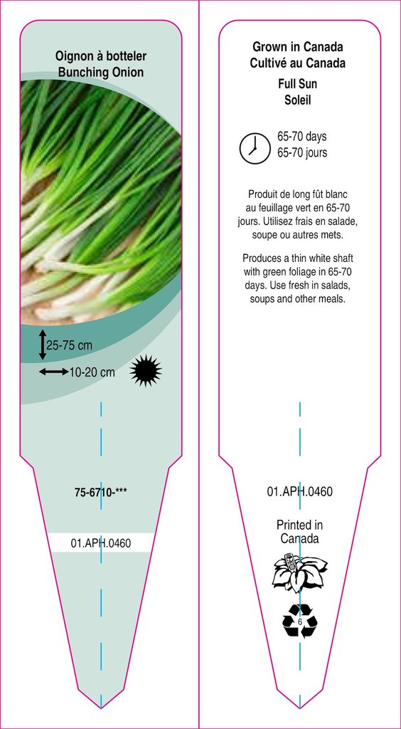 Seeds - Onion - Bunching Onion