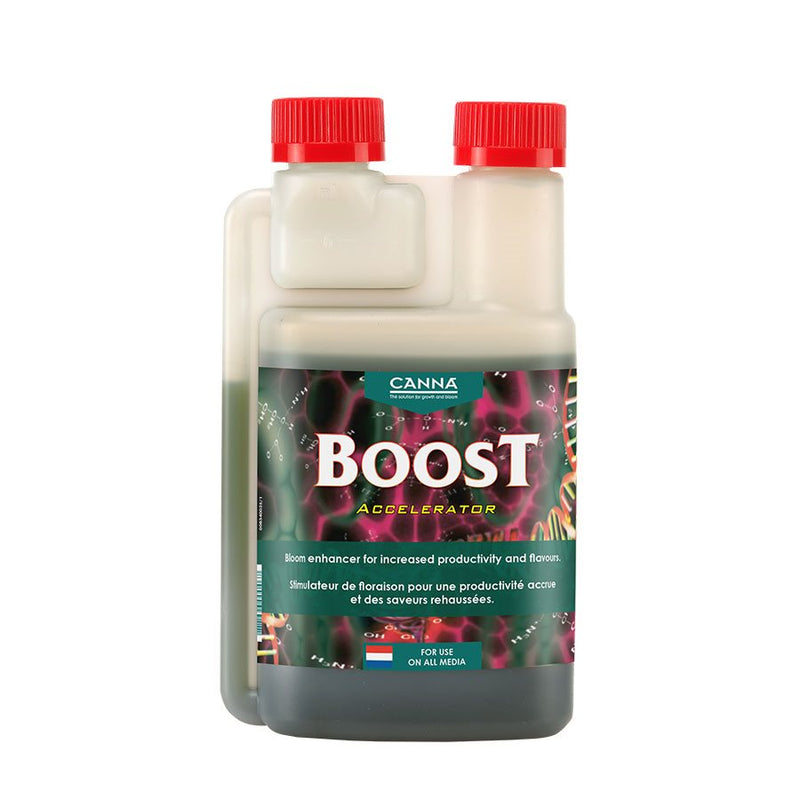 Canna- Boost Accelerator