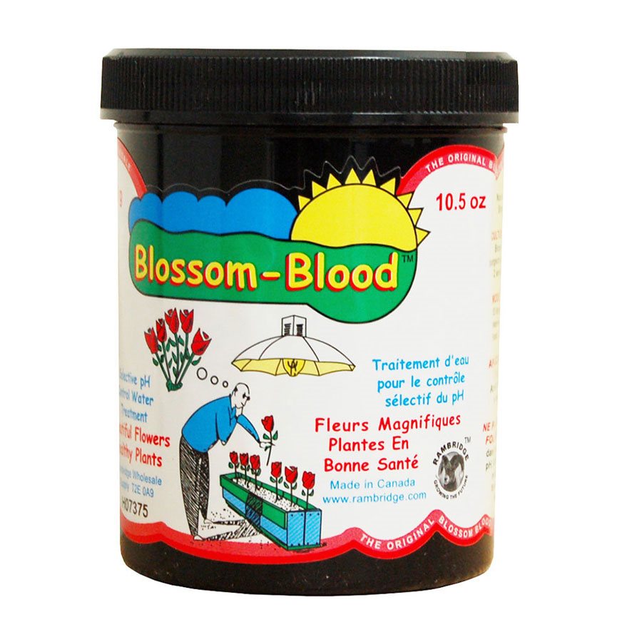 BLOSSOM BLOOD