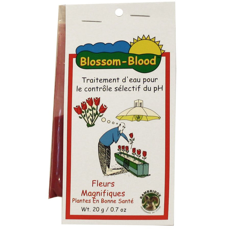 BLOSSOM BLOOD