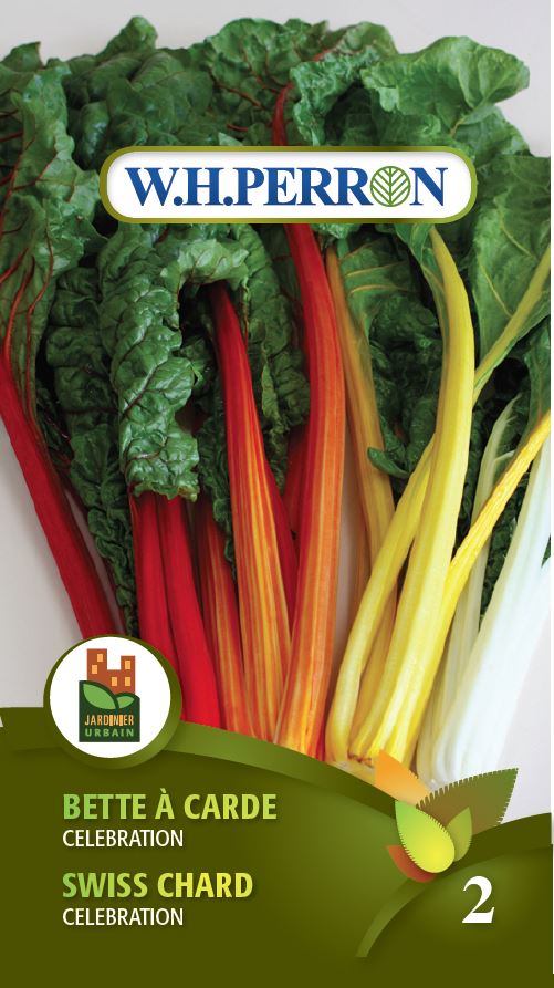 Seeds - Swiss Chard