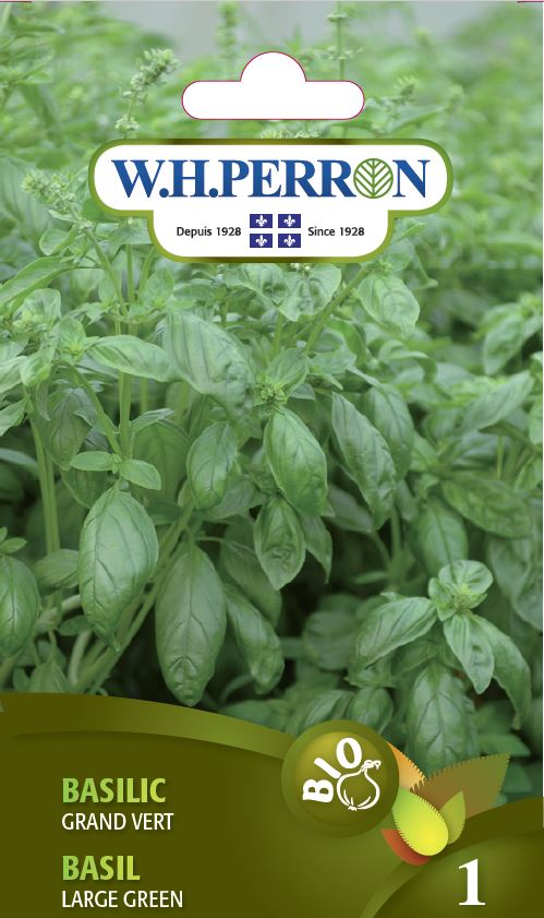 Seeds - Basil Large Green Bio