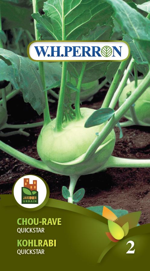 Seeds - Kohlrabi Quickstar