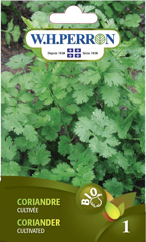 Seeds - Coriander Cultivated
