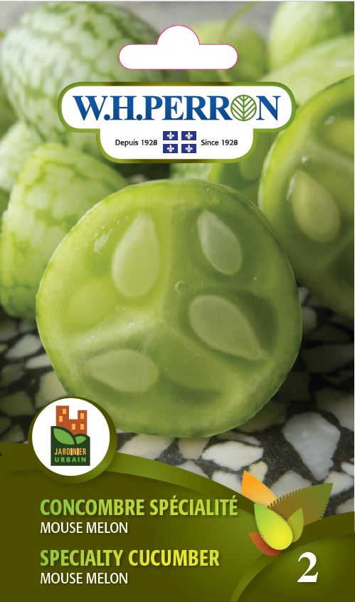 Seeds - Specialty Cucumber Mouse Melon