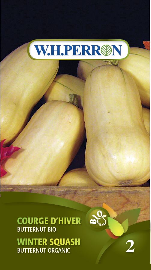 Seeds - Organic Winter Squash Butternut