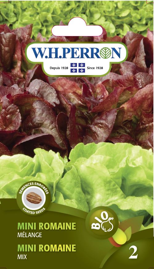 Seeds - Mini Romaine Mix Bio