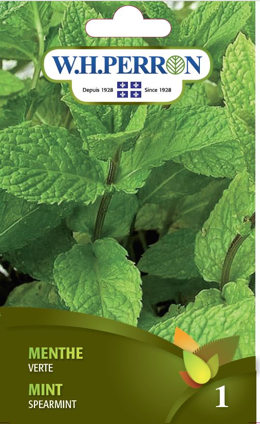 Seeds - Mint Spearmint