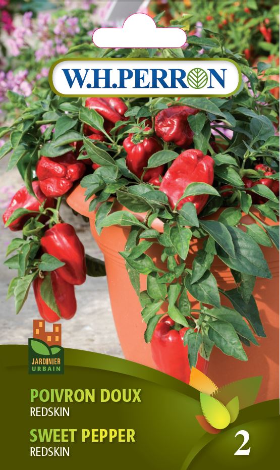 Seeds - Sweet Pepper Redskin
