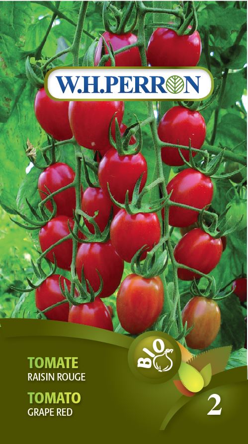 Seeds - Tomato Grape Red