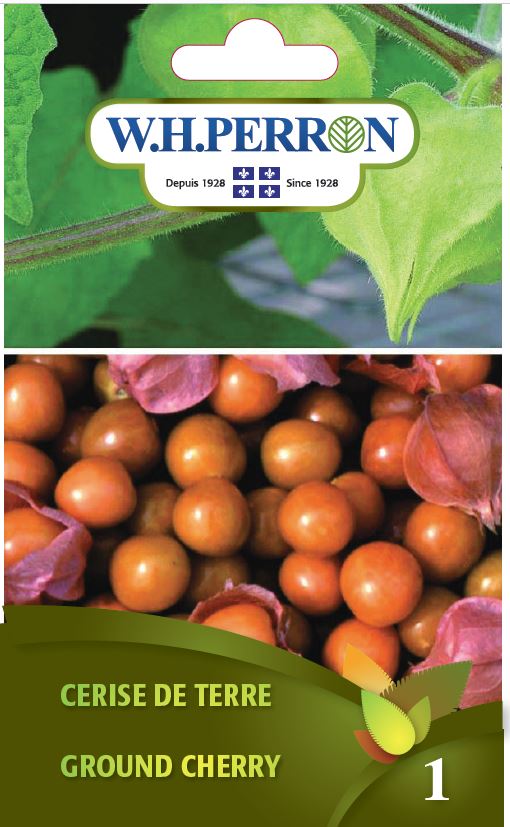 Seeds - Ground Cherry