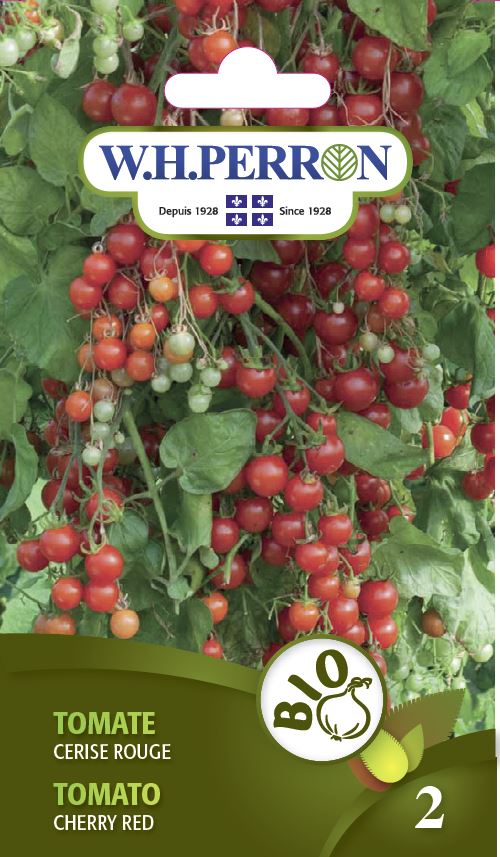 Seeds - Tomato Cherry Red