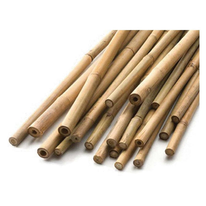 Natural Bamboo Cane 5&