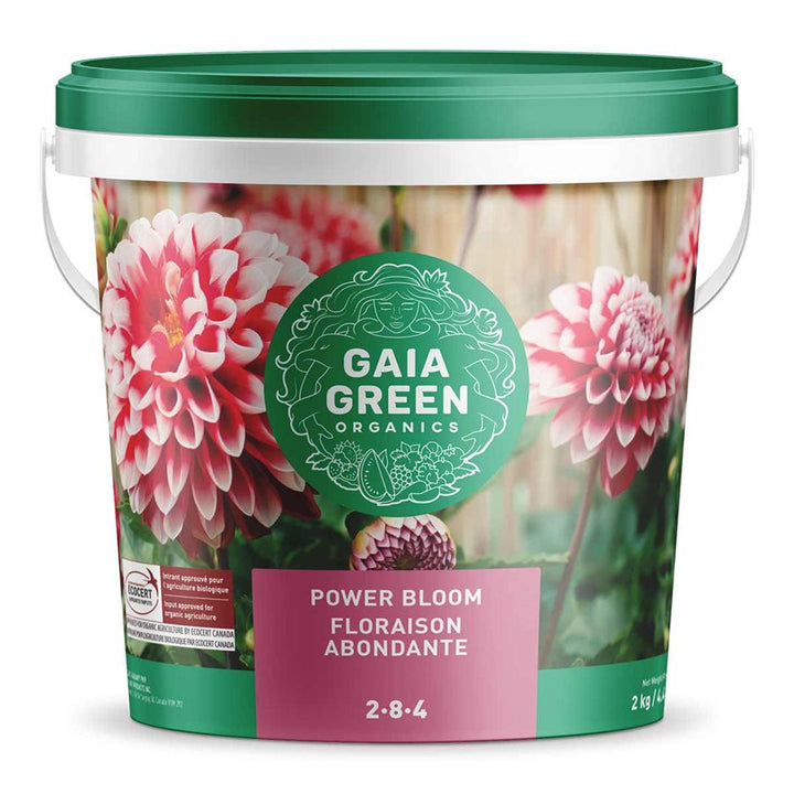 gaia green power bloom 2-8-4