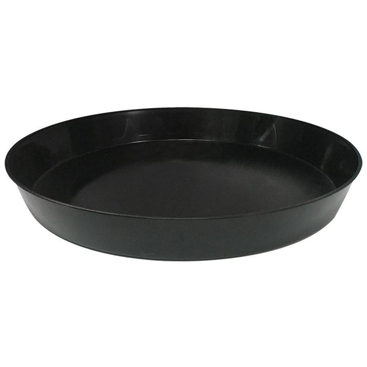 Alfred Black Saucer Reusable