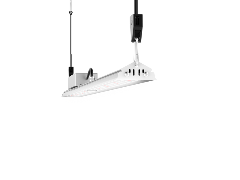 Futur Vert FloraVeg 150W high performance LED grow light