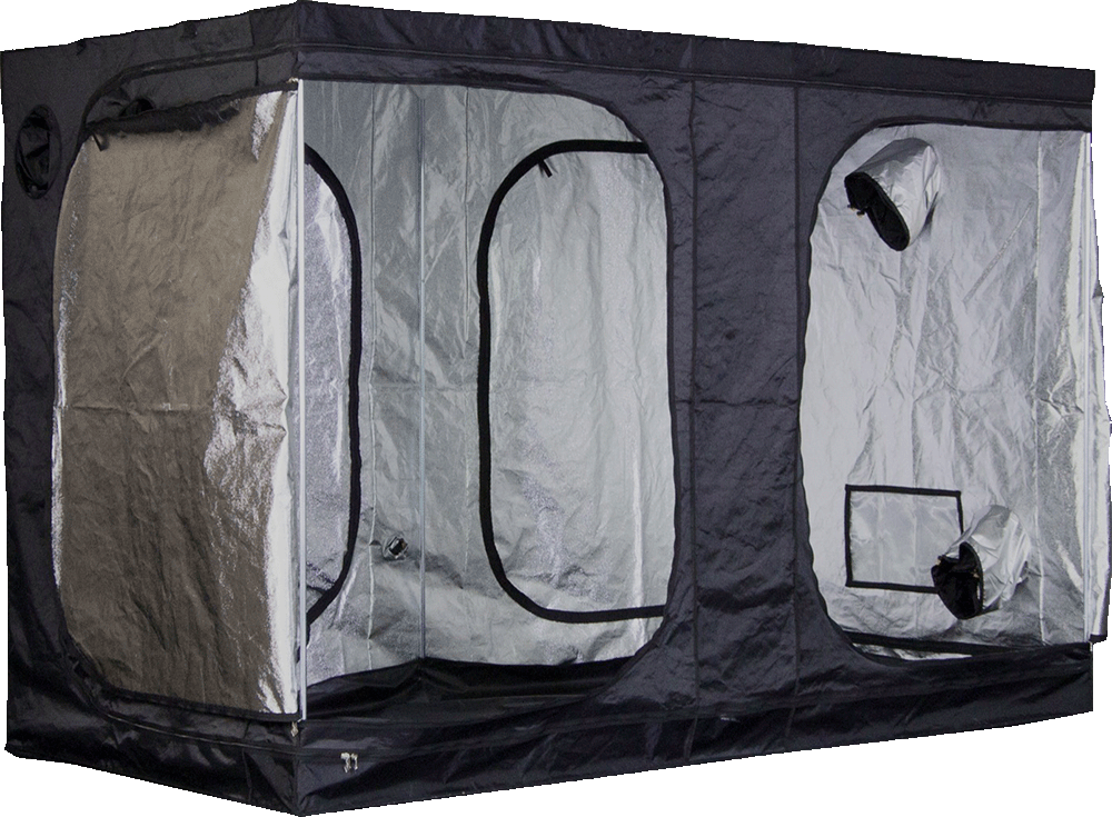 Mammoth Pro + Tent